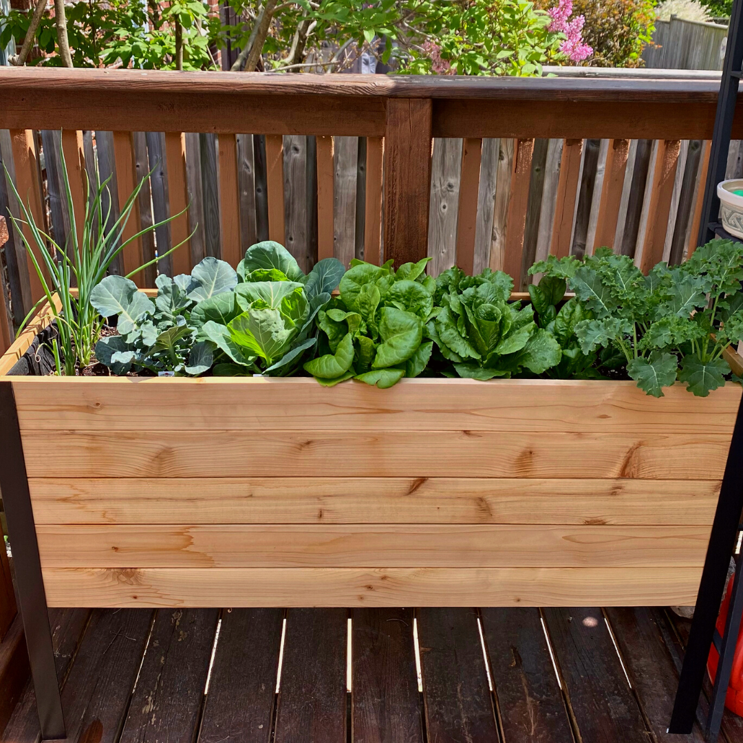 18" x 48" Raised Garden Bed - 30" TALL