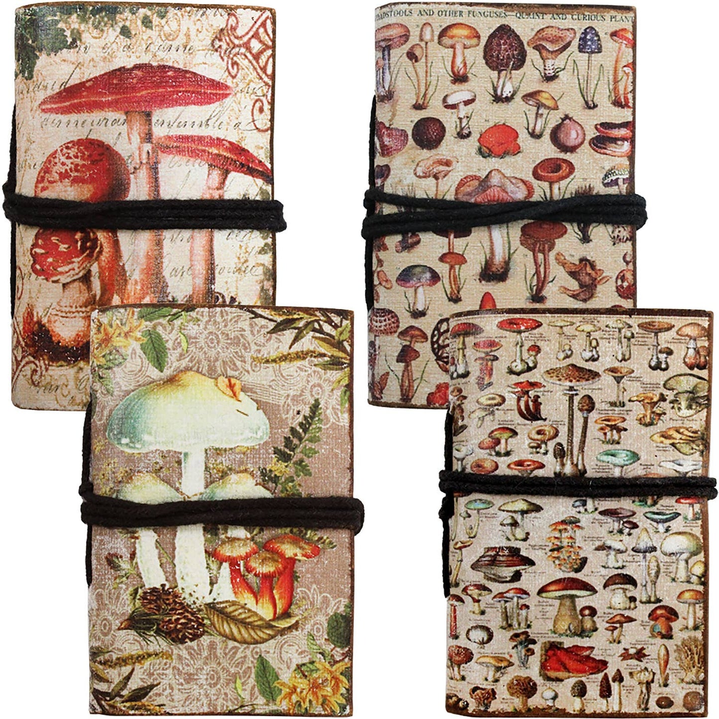 Mushroom Mini Tie Journal Asst ASE138