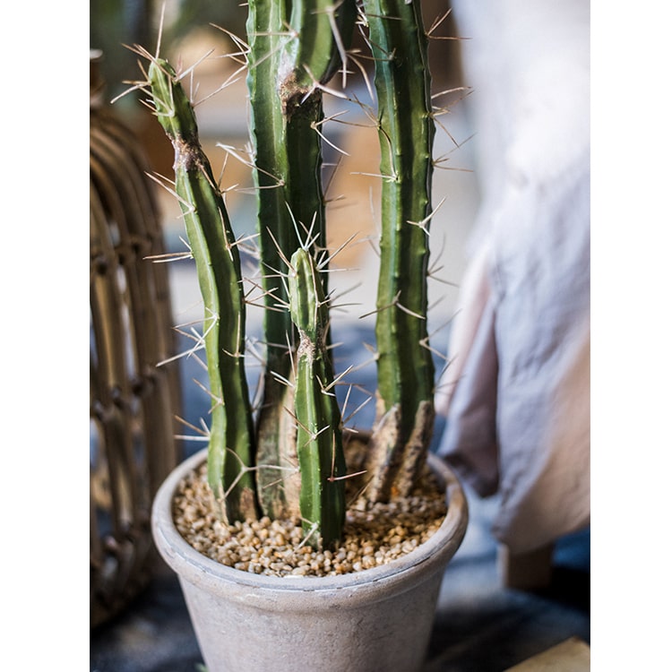 Artificial Plant Chihuahua Desert Cactus