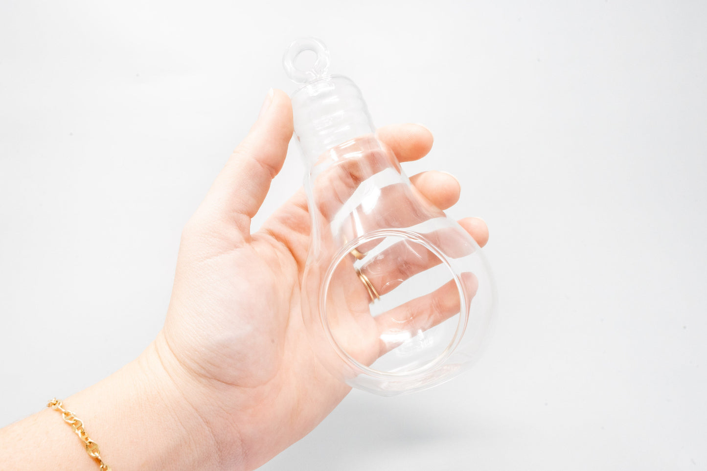 Hanging Light Bulb Terrarium with Crushed White Stones and Tillandsia Air Plant