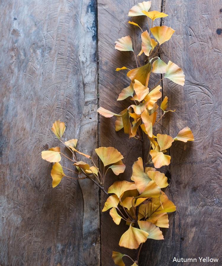 Artificial Ginkgo Stem in Yellow 37" Tall Faux