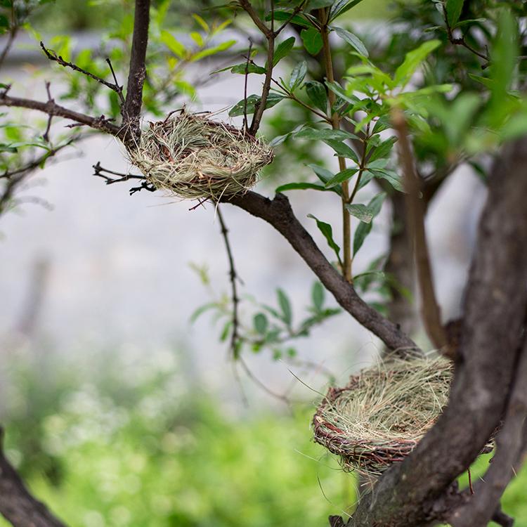 Handmade Grass Willow Bird's Nest Ornament Set of 3
