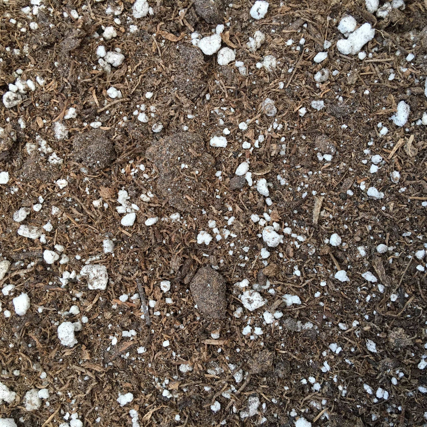 6" Starter Kit (Plugs)