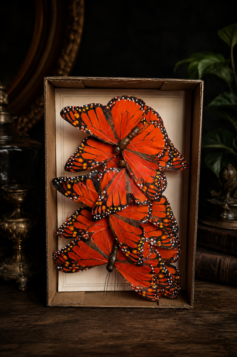 Home Decor and Gifts