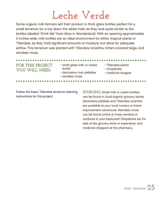 Terrariums Reimagined by Kat Geiger