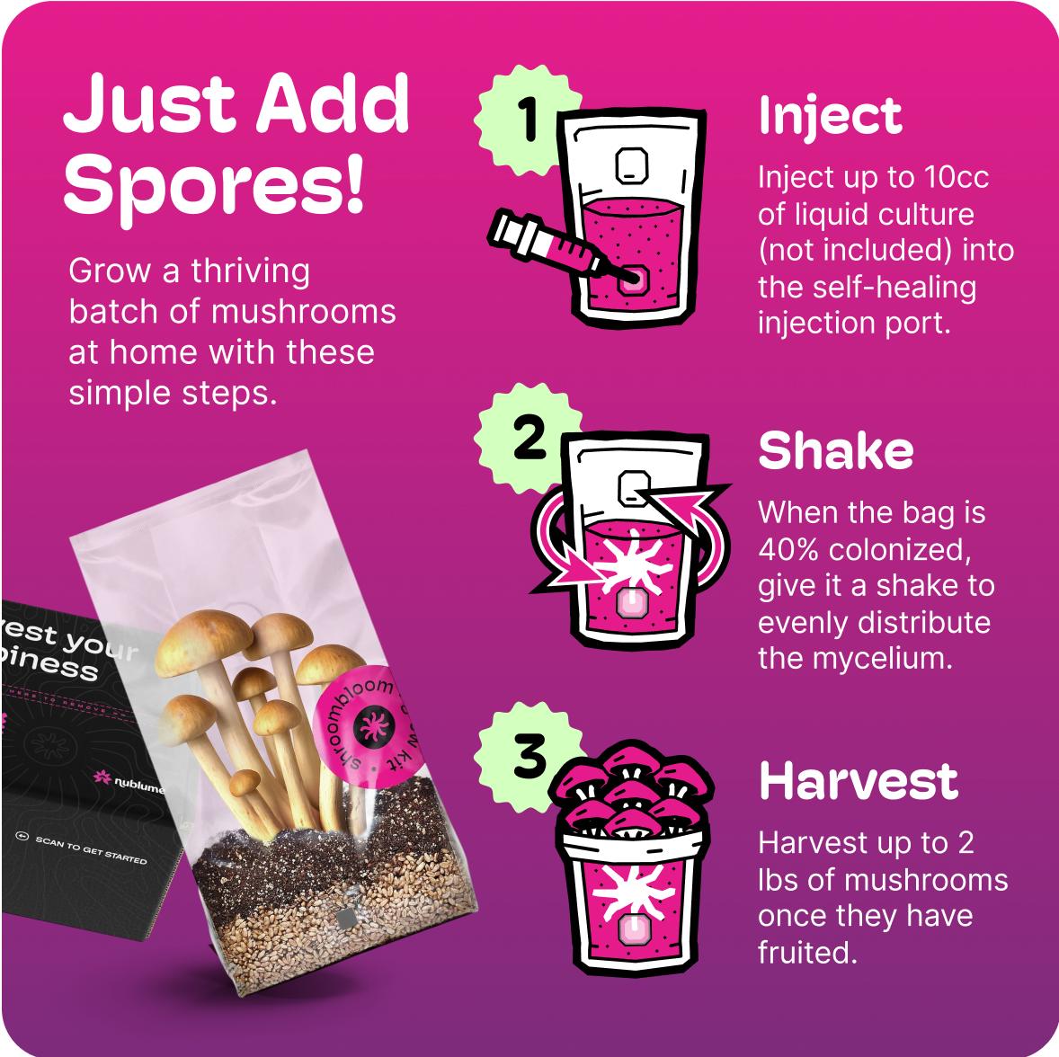 All-In-One Mushroom Grow Kit – Perfect for First-Time Grower