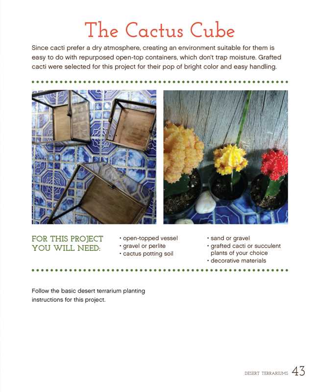 Terrariums Reimagined by Kat Geiger