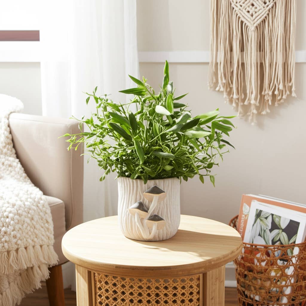 Ceramic Handcrafted Mushroom Applique Planter - Gray, 6 in.