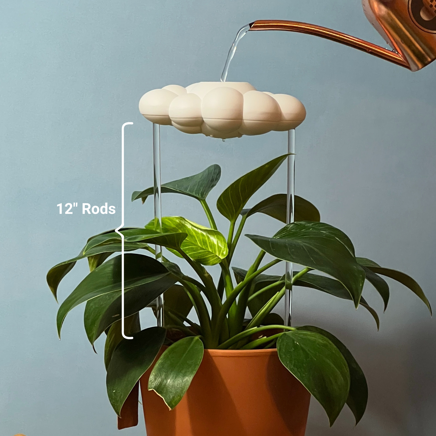 Original Dripping Rain Cloud with Moon Charm