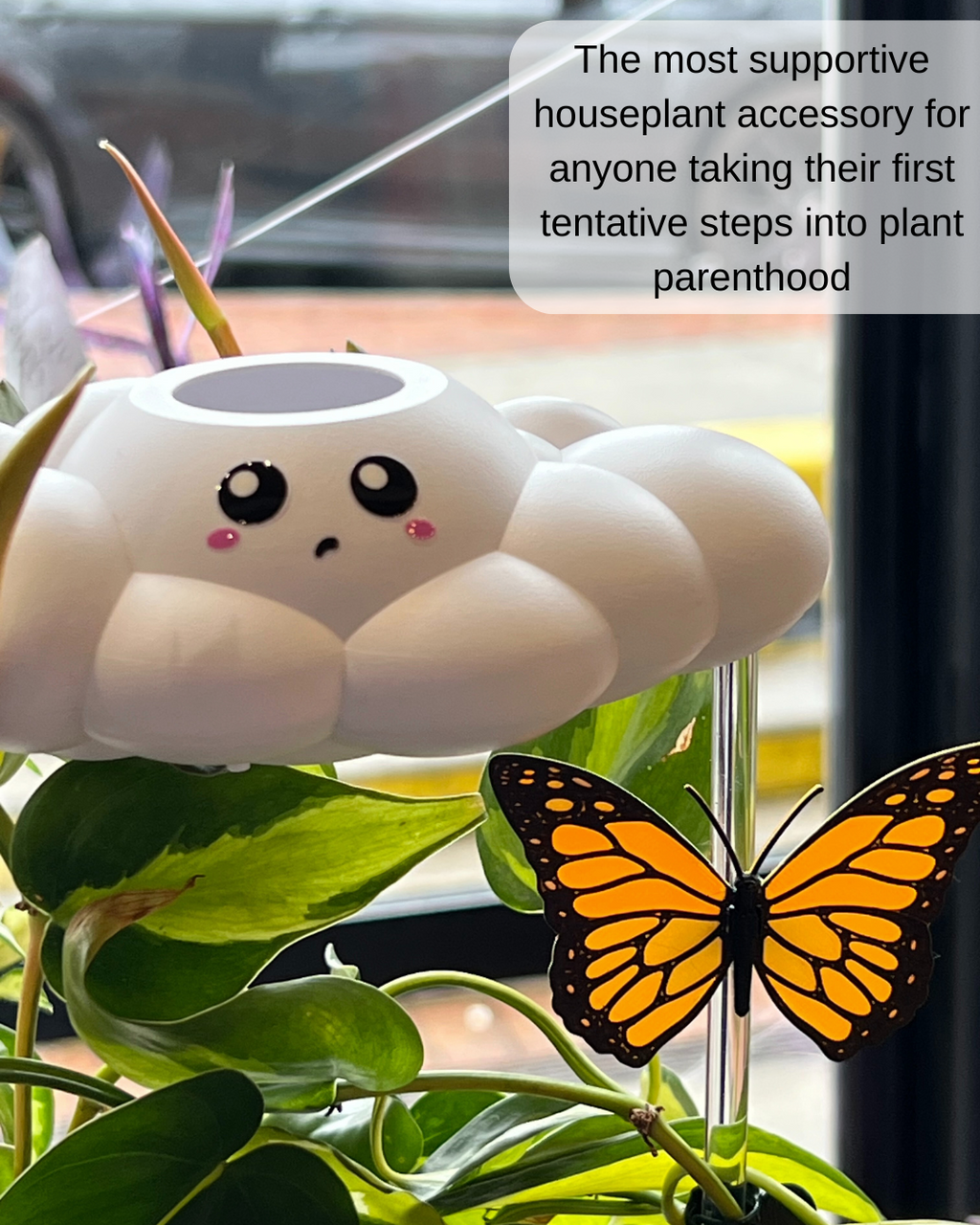Colby the Cloud