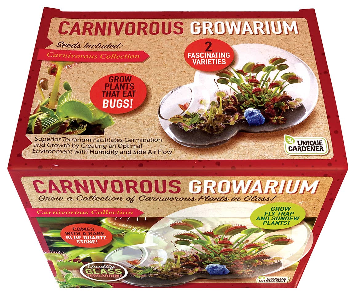Carnivorous Growarium Glass Terrarium