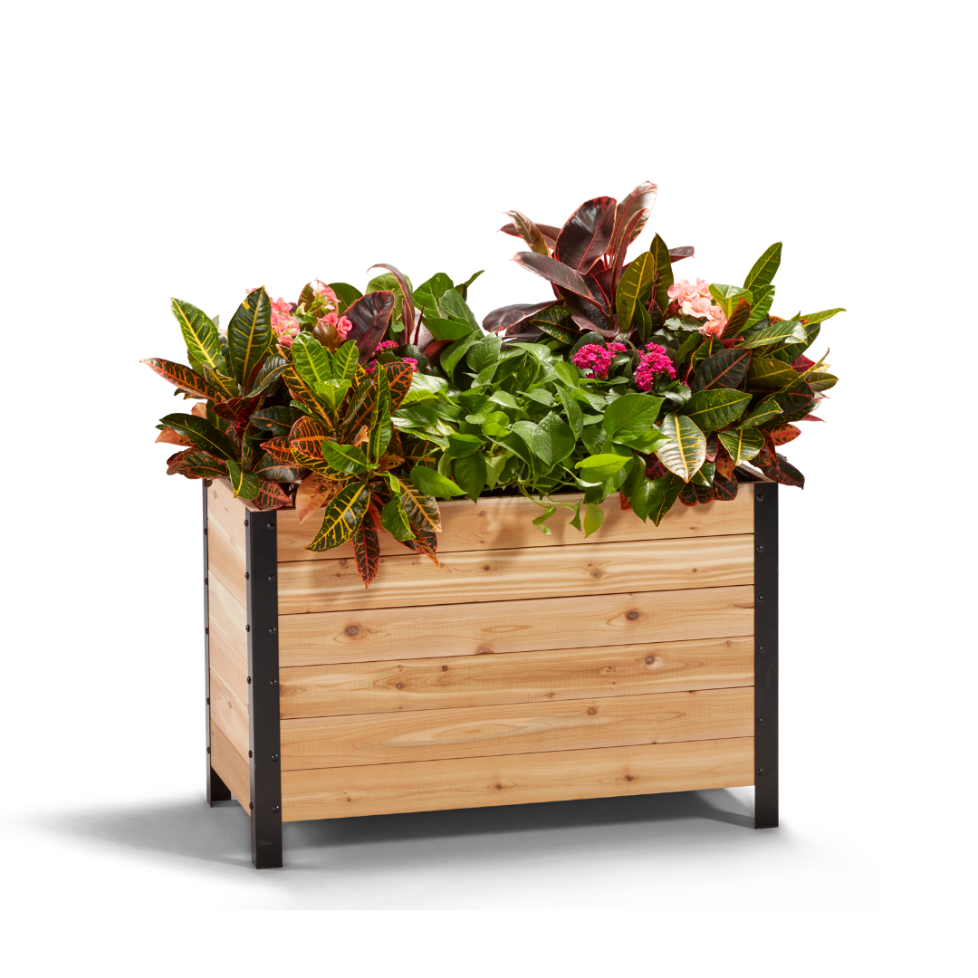 18" x 36" Planter Box - 24" TALL