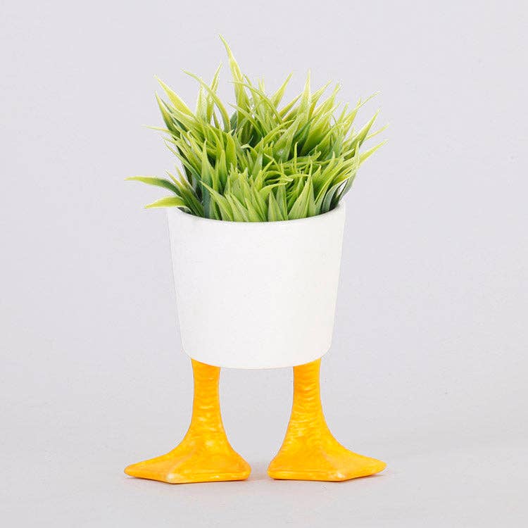 Small Duck Feet Planter