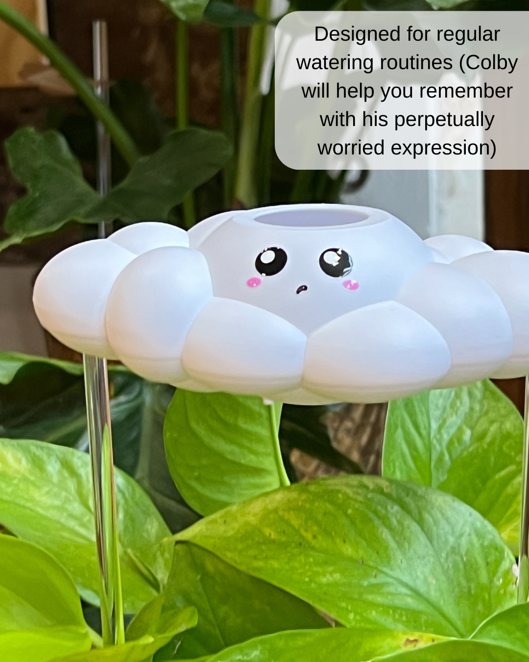Colby the Cloud