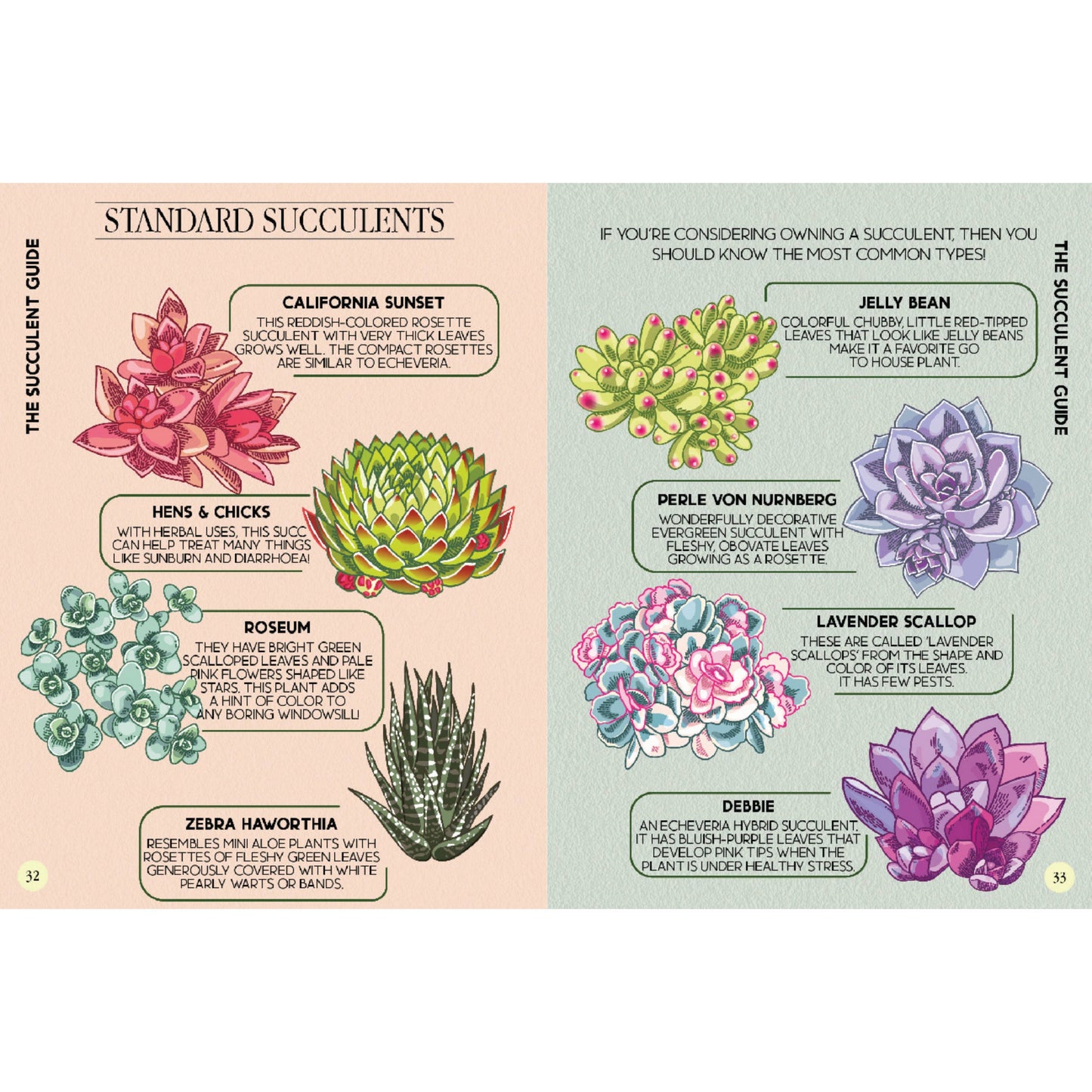 Houseplant Survival Guide Book - Plant Tips and Tricks