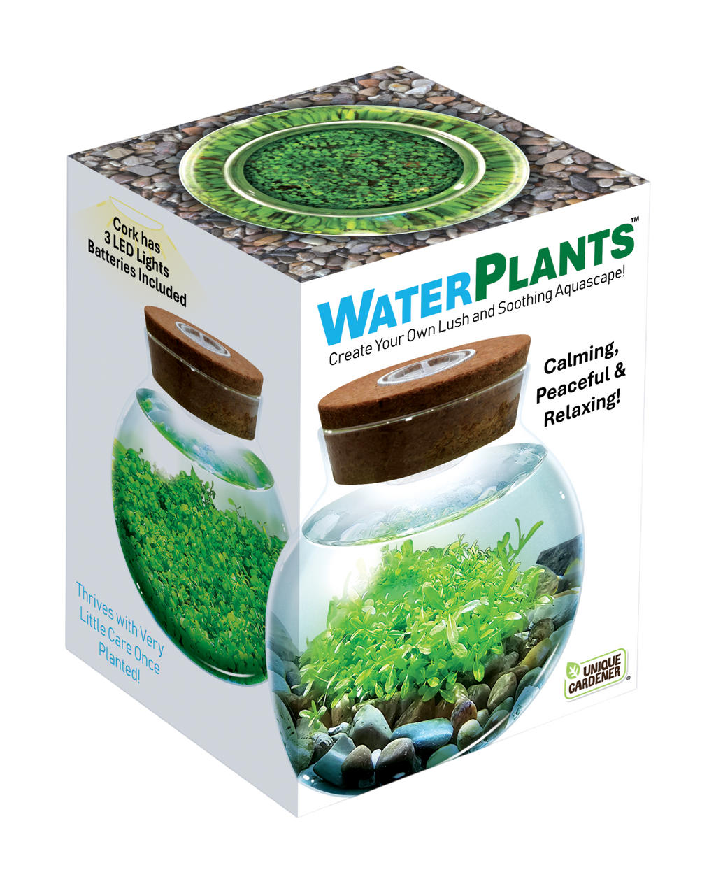 WaterPlants