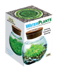WaterPlants