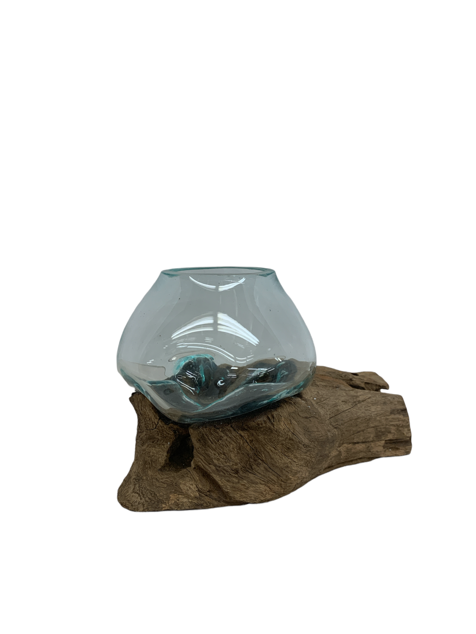 Tiny Glass & Driftwood Terrarium (approx. 6" x 5" x 5")