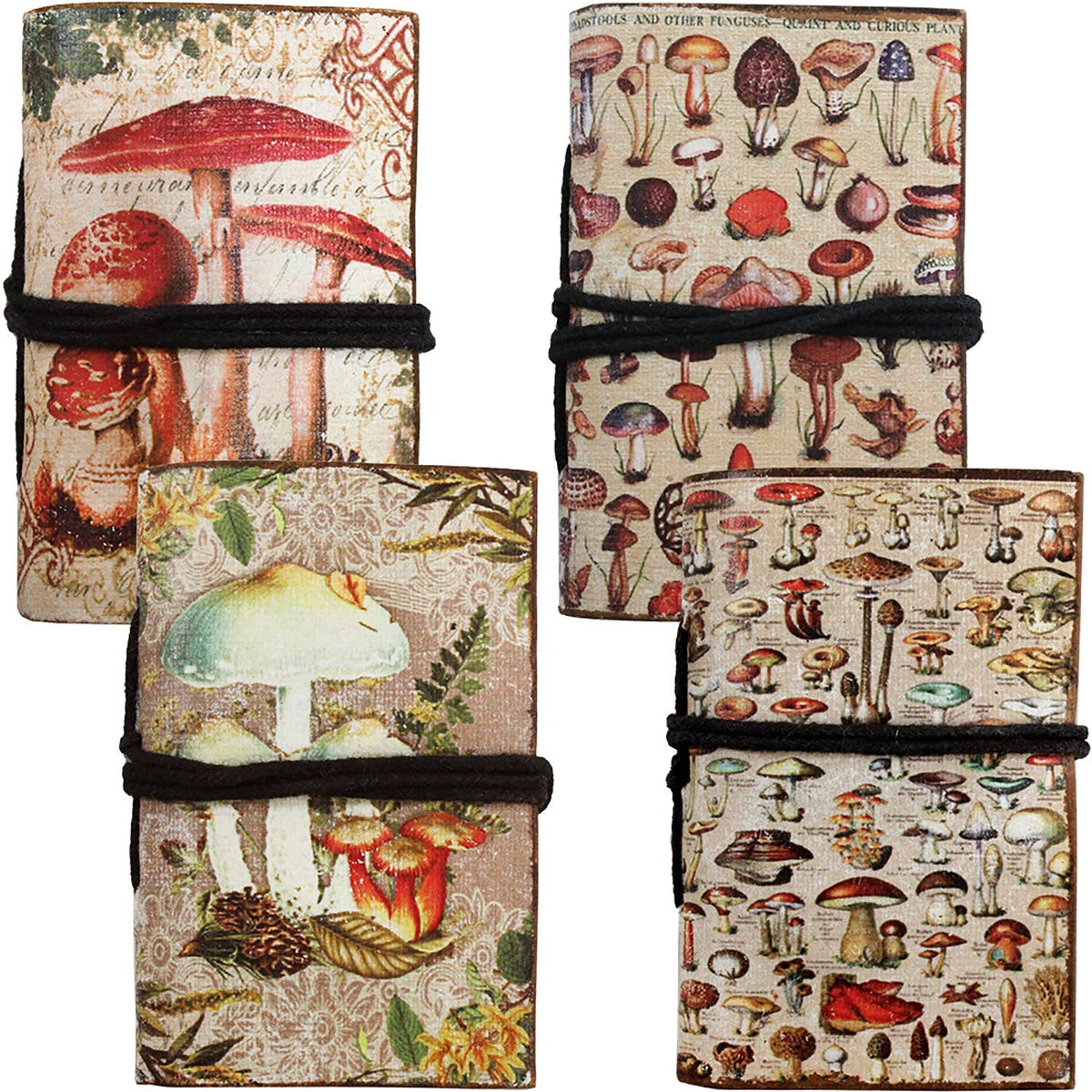 Mushroom Mini Tie Journal Asst  ASE138