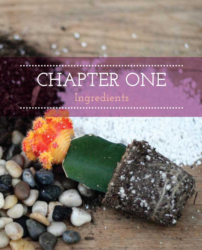 Terrariums Reimagined by Kat Geiger