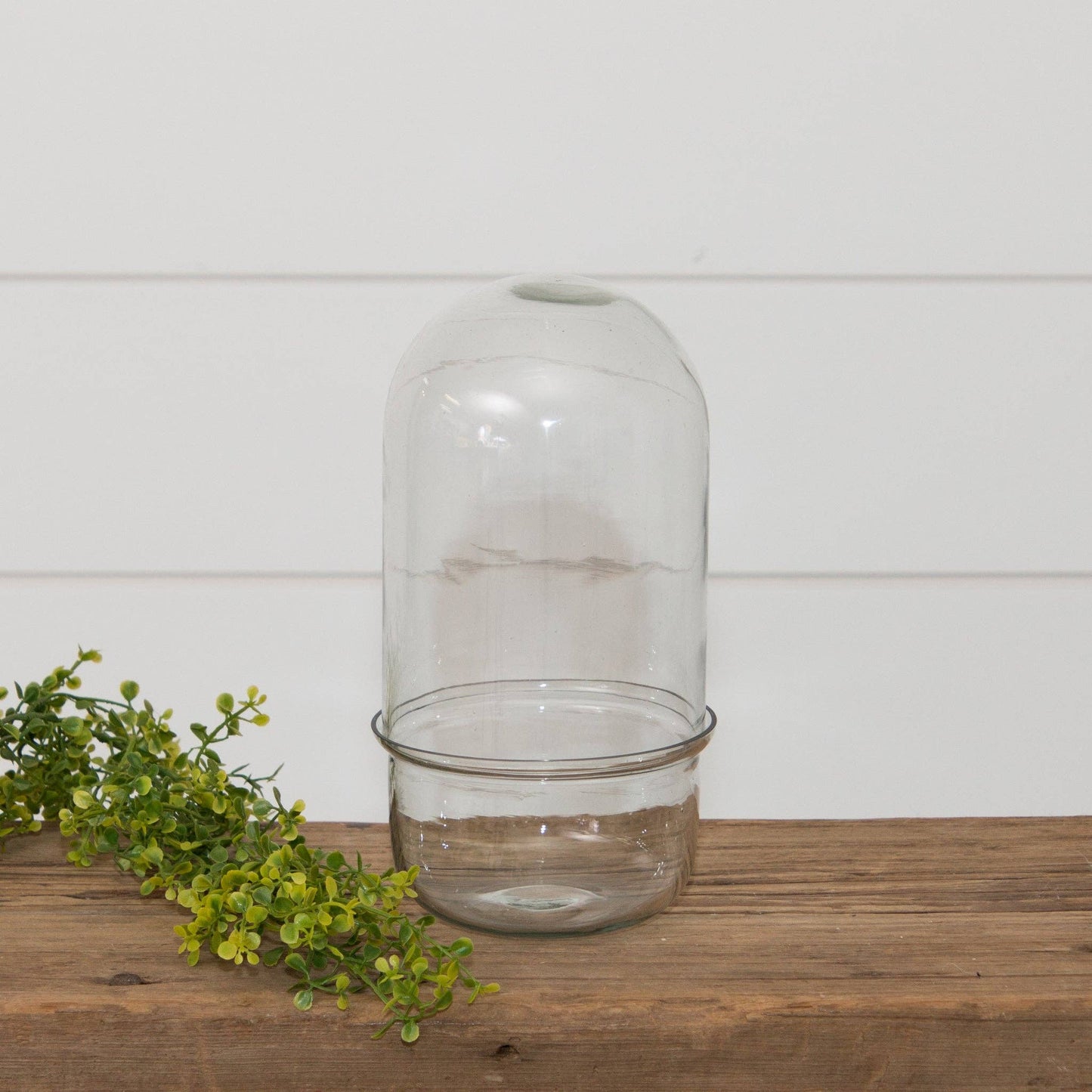 Glass Cloche Terrarium With Glass Base (PC)