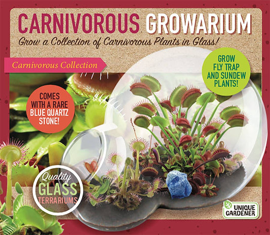 Carnivorous Growarium Glass Terrarium