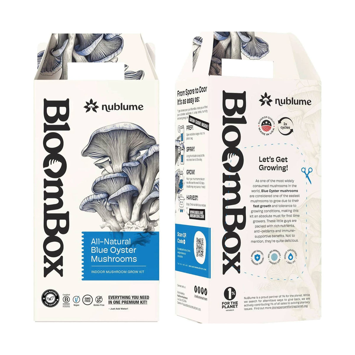 Blue Oyster Mushroom Grow Kit | Indoor DIY Garden Kit