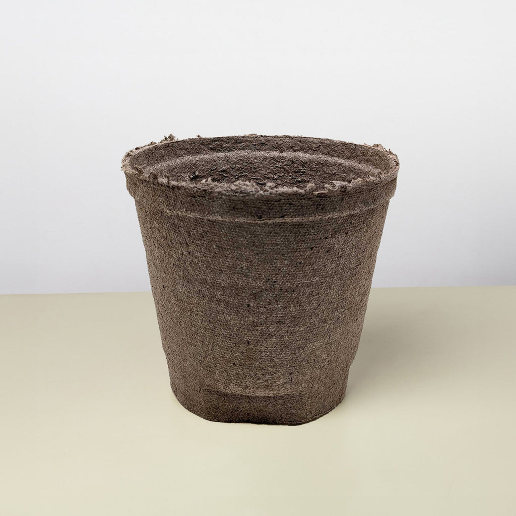 Cow Pot