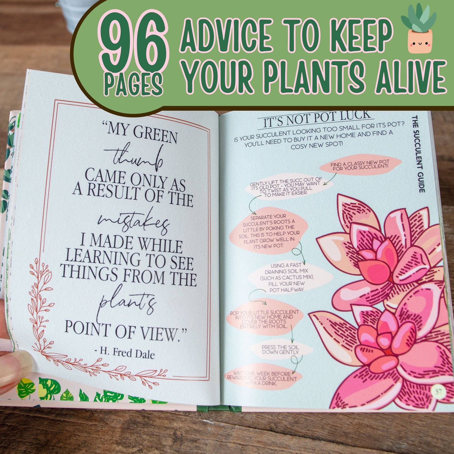 Houseplant Survival Guide Book - Plant Tips and Tricks