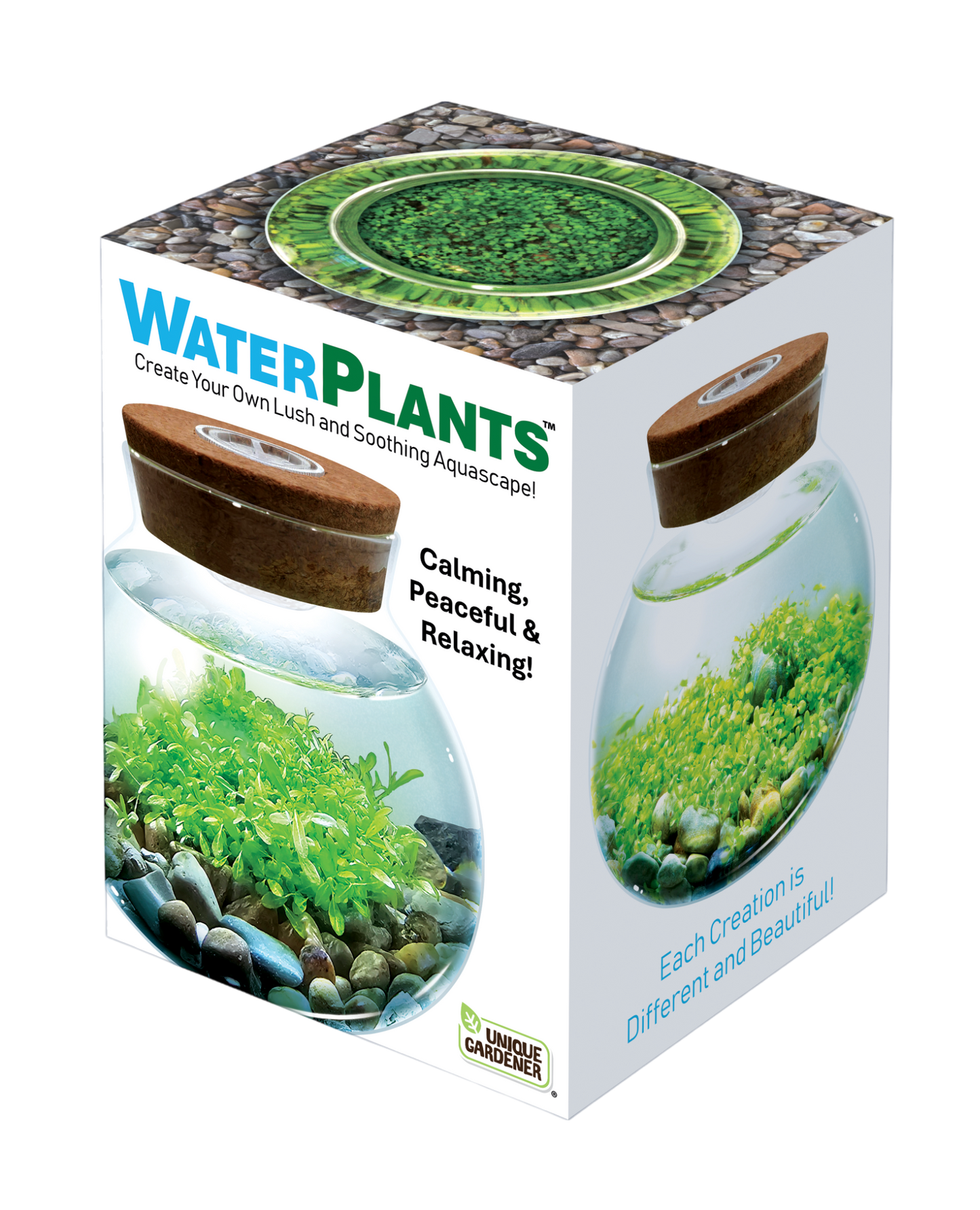 WaterPlants