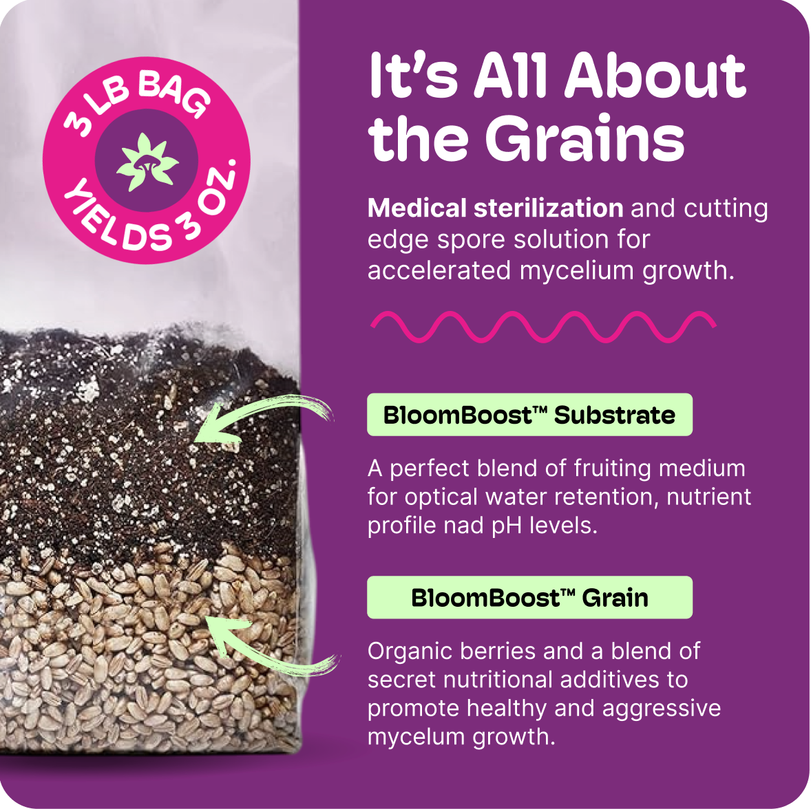 All-In-One Mushroom Grow Kit – Perfect for First-Time Grower