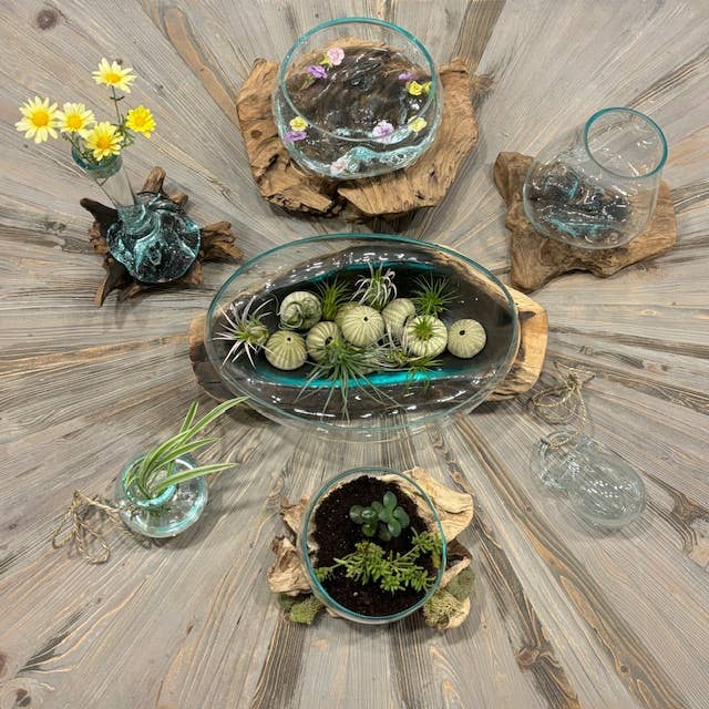 Tiny Glass & Driftwood Terrarium (approx. 6" x 5" x 5")