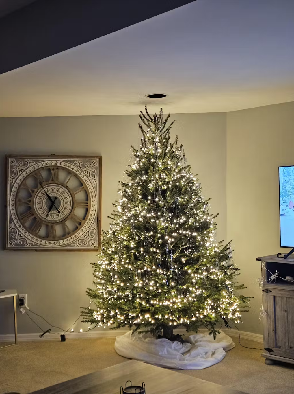 Real Christmas Trees Delivered 7 Foot Premium Fraser Fir