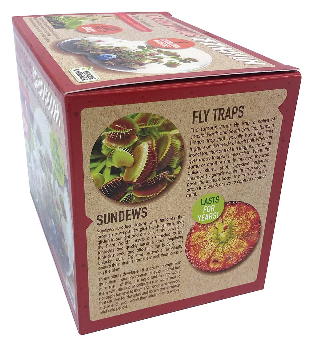 Carnivorous Growarium Glass Terrarium