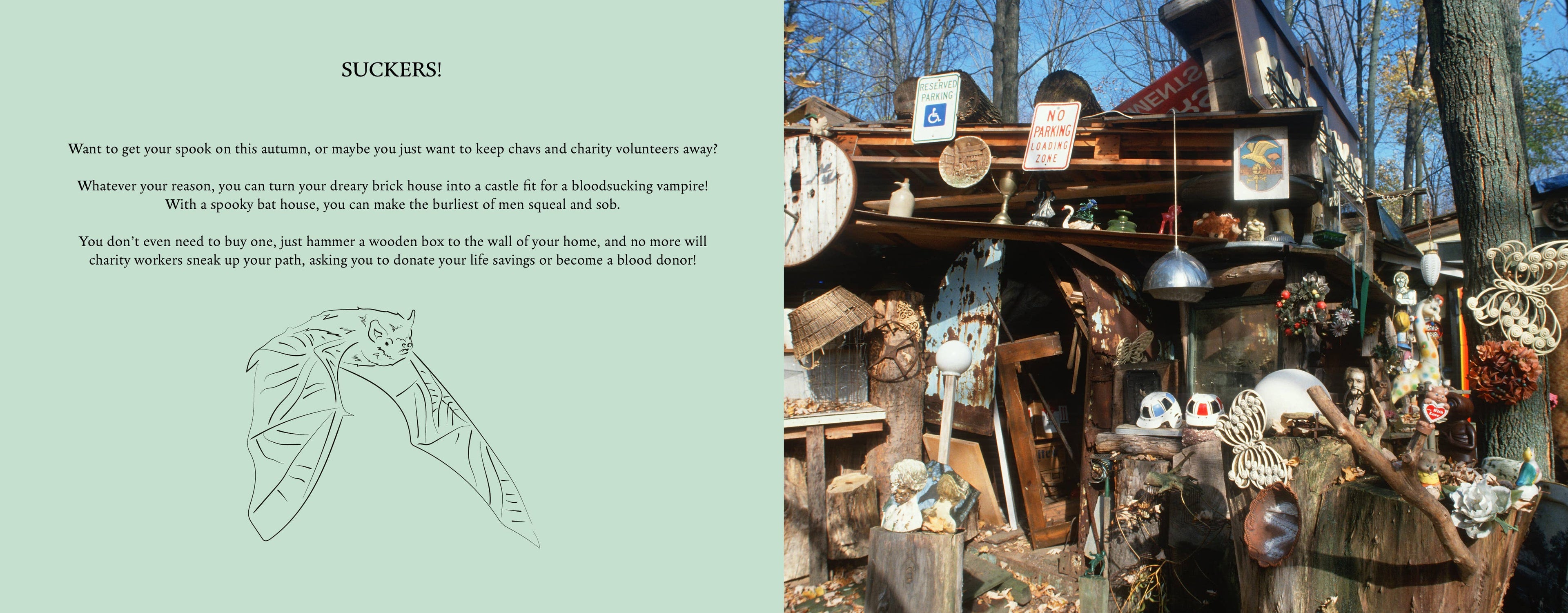 Wildgarden: A Guide to a Neglected Oasis - Plant Book