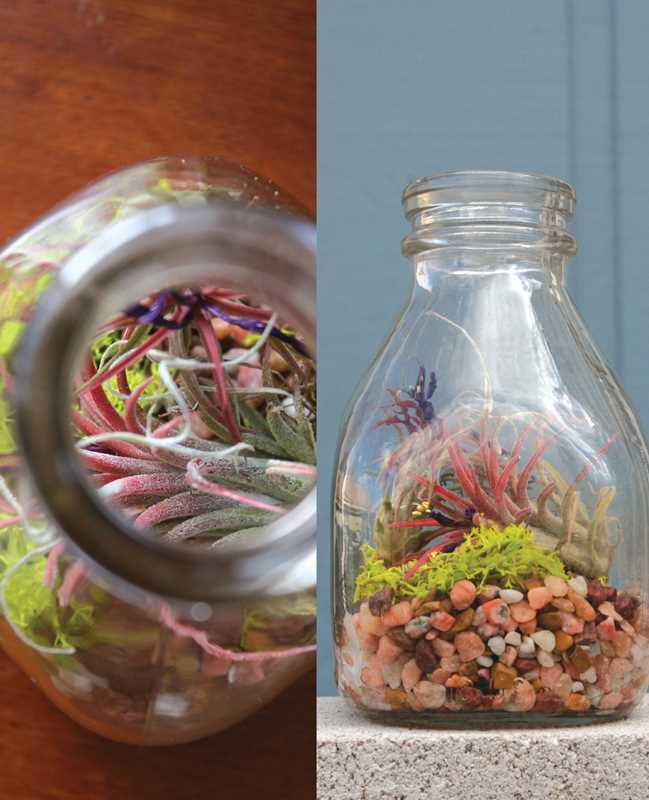 Terrariums Reimagined by Kat Geiger