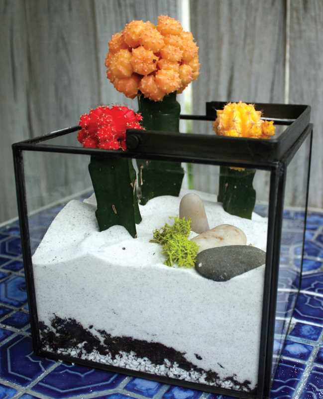 Terrariums Reimagined by Kat Geiger