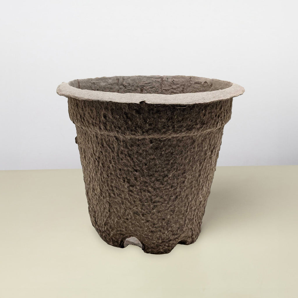 Cow Pot