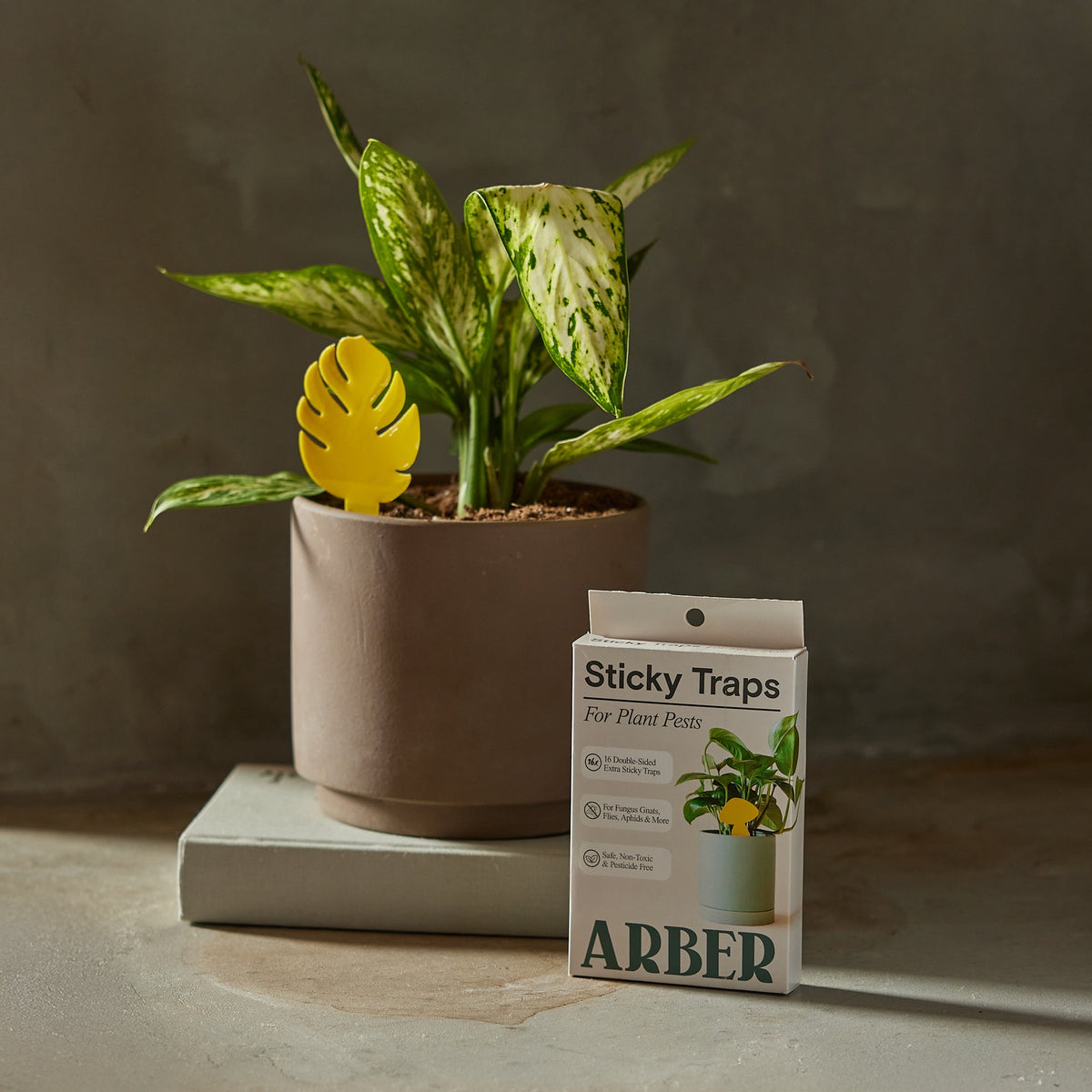 Sticky Traps for Plant Pests