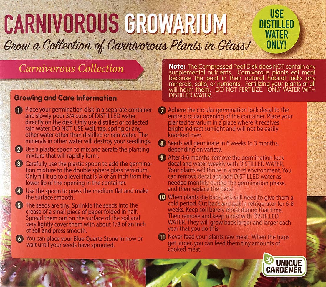 Carnivorous Growarium Glass Terrarium