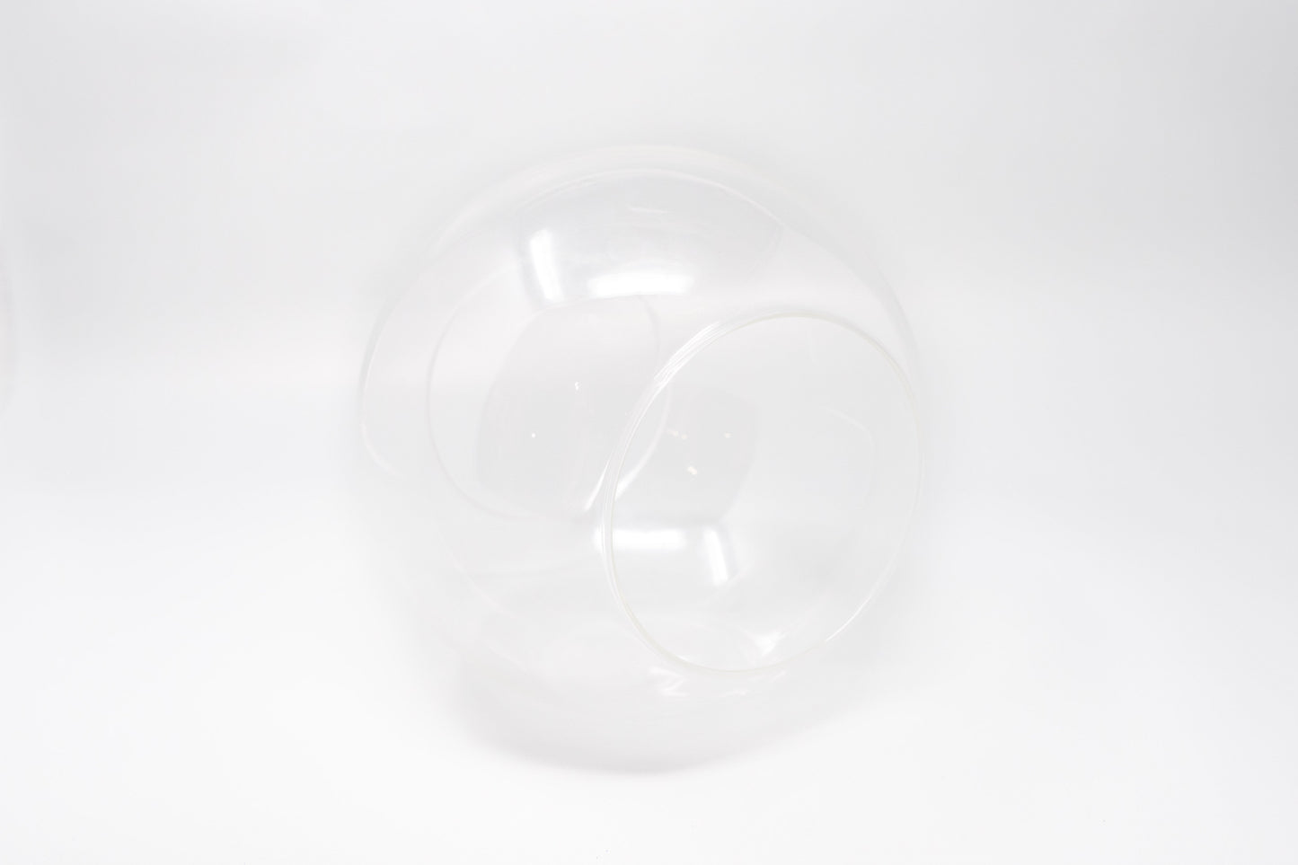 Large Hand-Blown Glass Terrarium with 2 Open Ends