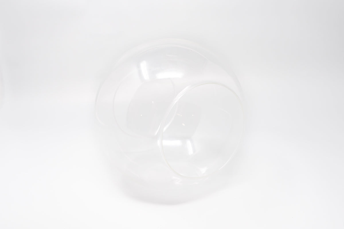 Large Hand-Blown Glass Terrarium with 2 Open Ends