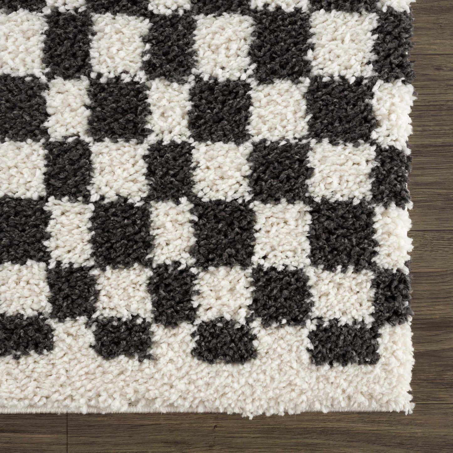 Kieu Black & White Checkered Shag Rug