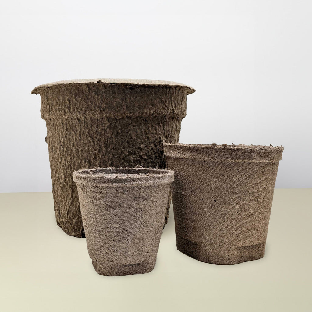 Cow Pot