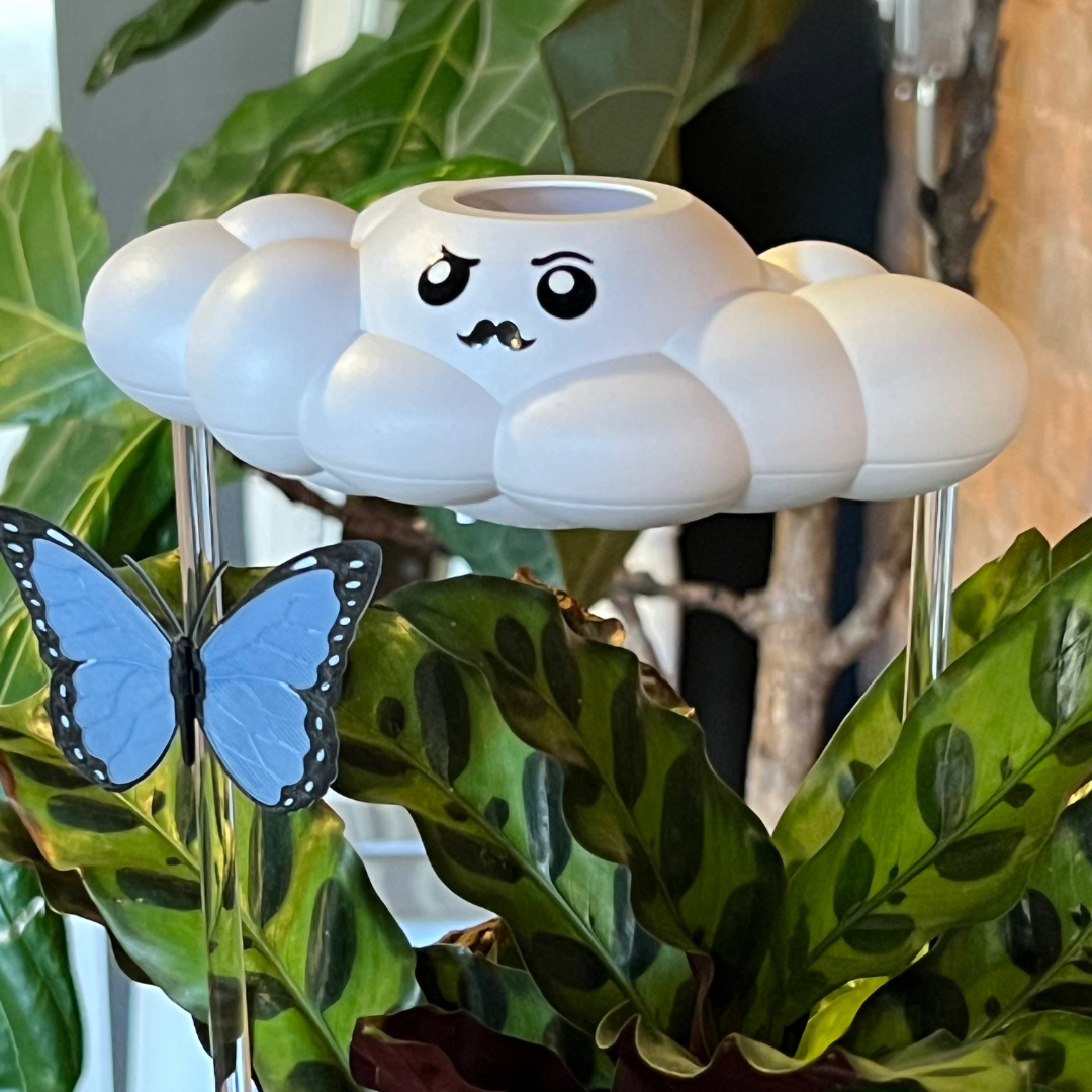 Carl the Cloud