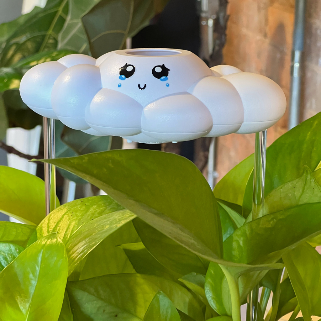 Clara The Cloud