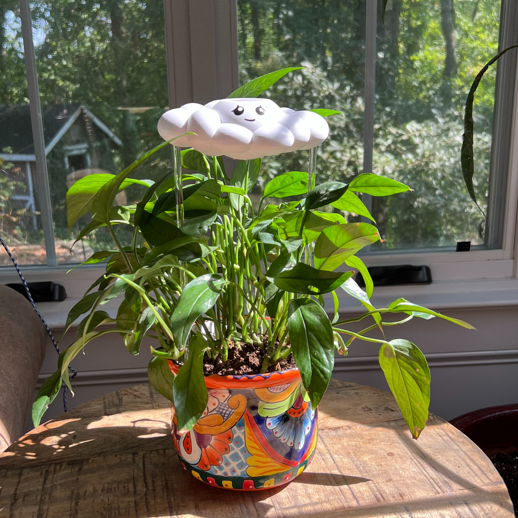 Cory the Cloud