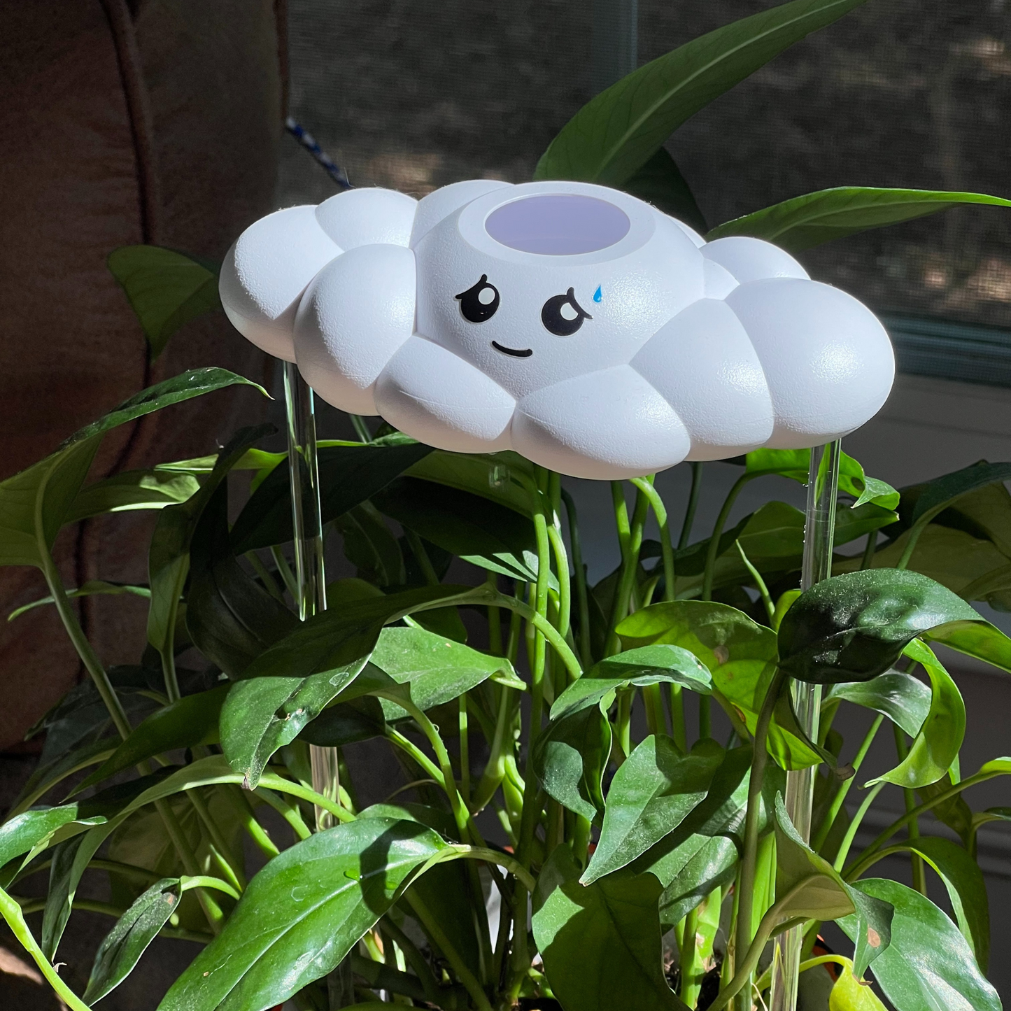 Cory the Cloud