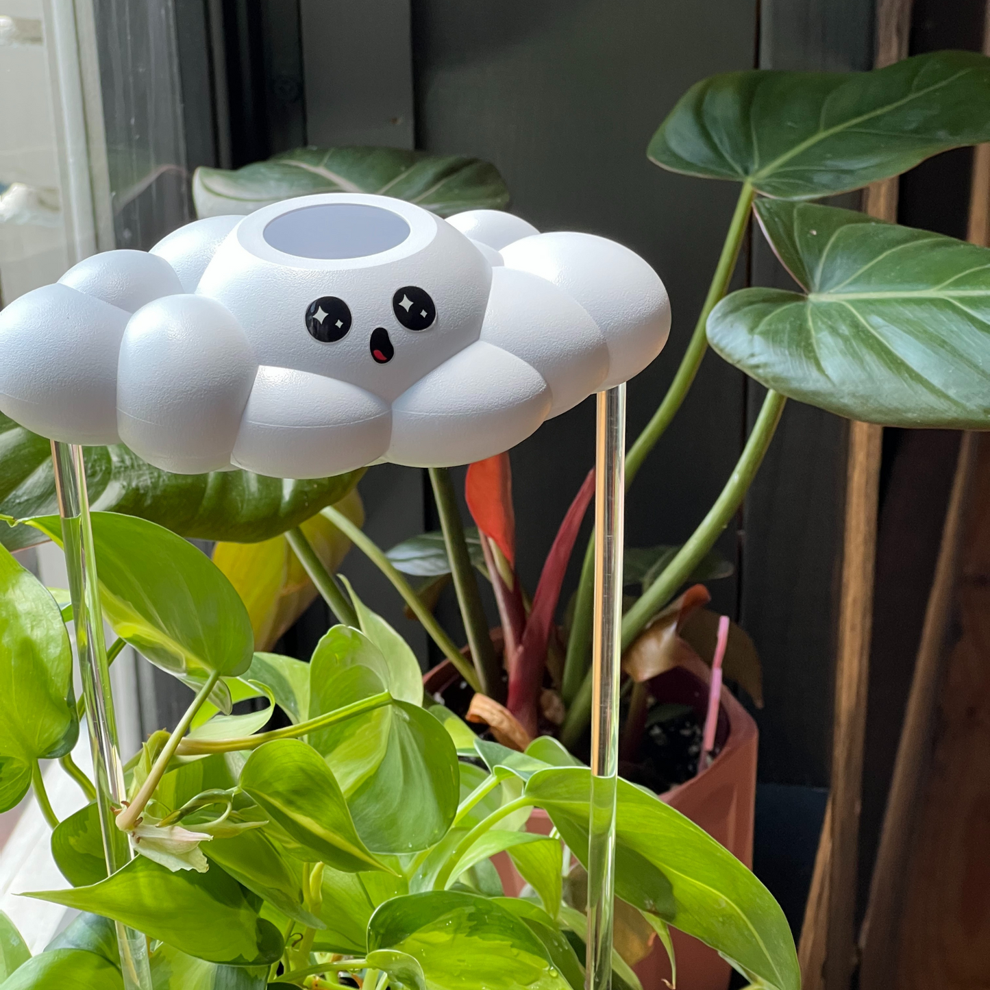 Cosmo the Cloud