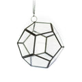 DIY Glass Pentagon Terrarium